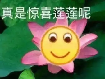 我不会表情包暴雨