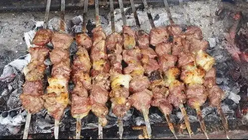 论一串羊肉的自我修养