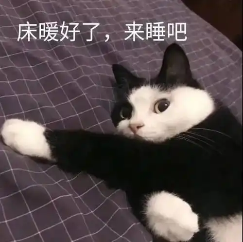 11.4表情包丨精选表情包奉上