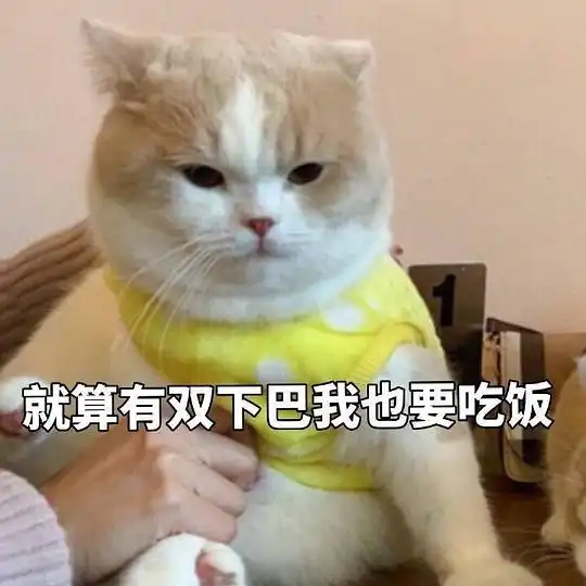 一只猫歪嘴的表情包