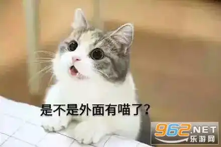 三只猫点头表情包动图gif三只猫点头表情包下载乐游网游戏下载