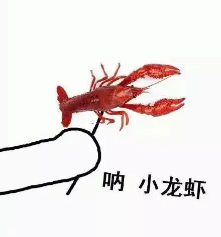 19.9元抢曾记龙虾云雾蒸虾1份青岛扎啤100扎