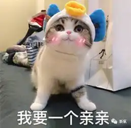 小猫卖萌表情包汤姆