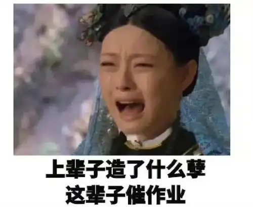 如何用表情包来表达该交作业啦
