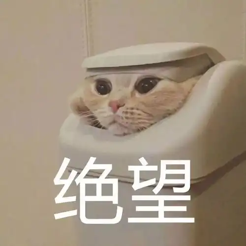 不要潜水的表情包冒泡