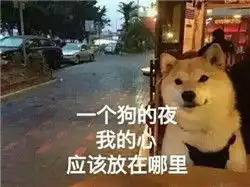 女儿情人节祝福表情包表