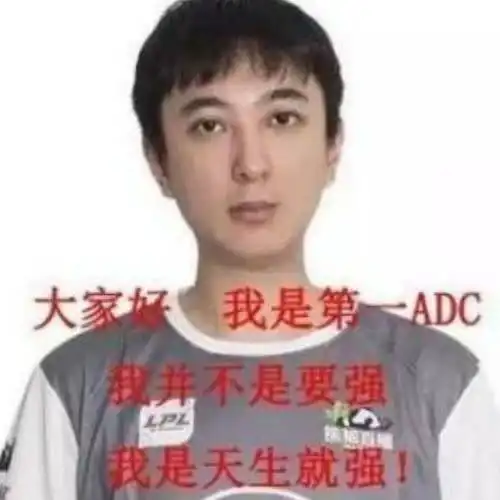 新鲜出炉的王思聪表情包,电竞王者就是你吧
