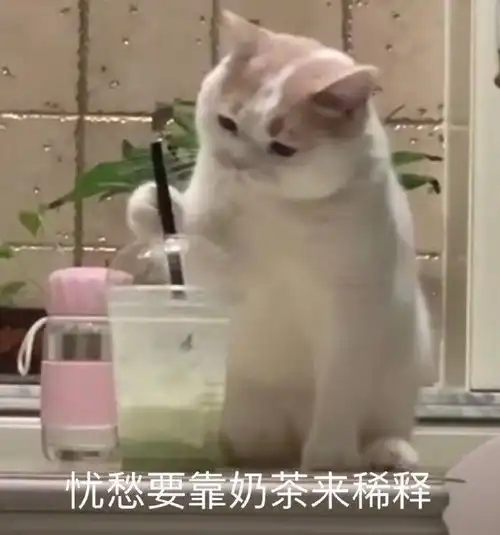 氵百无聊赖的我过两天要一个人去做鼻子了