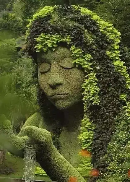 最牛的植物园是真的吗