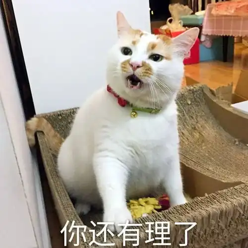 女子动车上提醒男子小声些,却被怼建议你毛病少一点