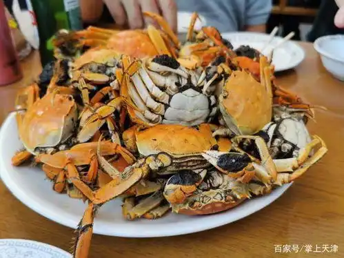 钓螃蟹,就得是宁河区的七里海附垂钓园汇总