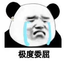 有一个料