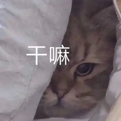 冷汗表情包在干嘛