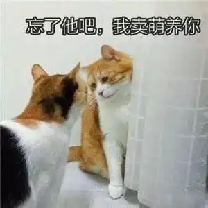 人要面子,那猫呢