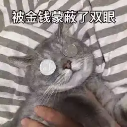 三团表情包什么动物头像