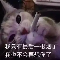 最近火了疯狂搞对象表情包个个挑逗,撩得ta瞬间红了脸