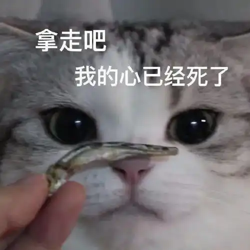 沙雕搞笑猫猫表情包