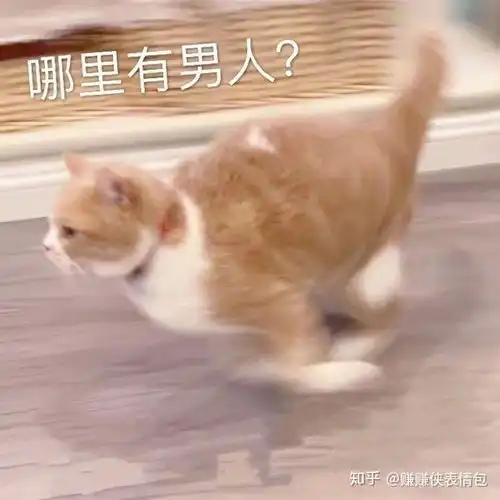 胖子搞笑表情包图片生气