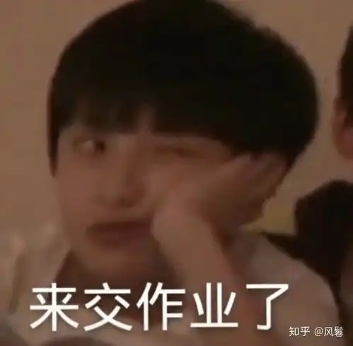 交作业使用的沙雕表情包有哪些