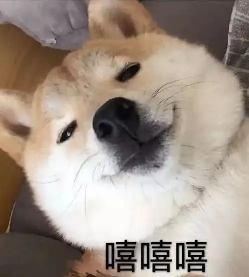你的网名是什么注意这6种情形或将不能使用
