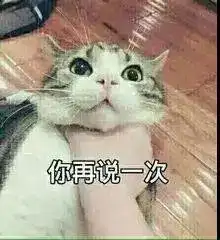 小猫卖萌表情包虚假宣传