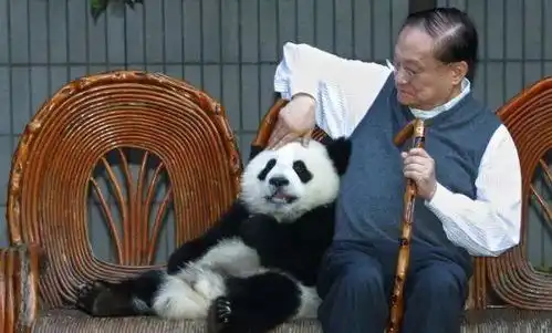 九阴白骨爪表情包英译