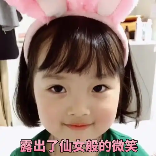 权律二300张表情包