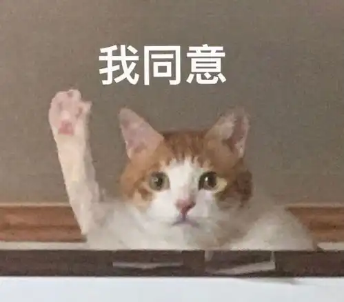 这几大星座的伪装最难被看破,千万别被骗了