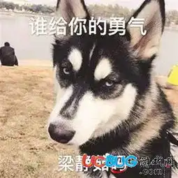 谁给你的勇气梁静茹吗是什么梗