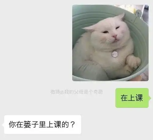 和爸妈聊天,千万别发表情包他们得理解,会让你想不到哈哈哈