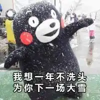 熊本熊微信表情包带字我们不要再见面了腾牛个性网