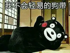 我不会表情包丈母娘