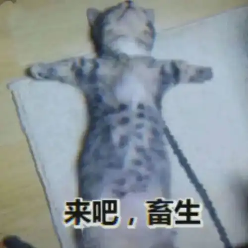 表情包奶茶和你我都要