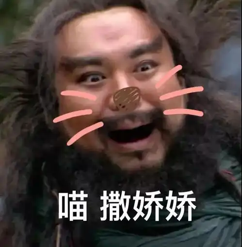 黑炭表情包的小男孩海豚