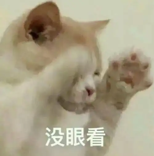 养猫人最容易上的当千万别给猫吃猫粮这种博主能不能不要再挣黑心钱了有福利