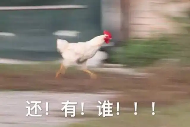 没有一只鸡,在云南不做噩梦