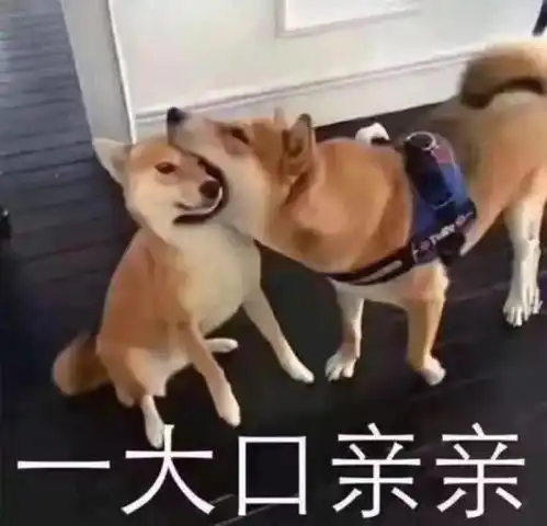杭州小情侣正亲昵,噗一声女生耳朵听不见了