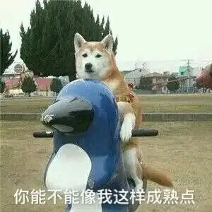 2020最强双十一购表攻略看看第二波预售谁家折扣最大