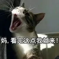 一只猫喊妈的表情包