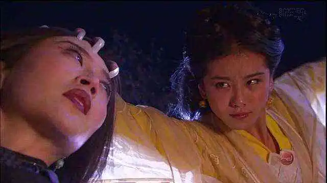 黄衫女身为杨过后人,为啥对郭襄和对丐帮的态度不一样小龙女
