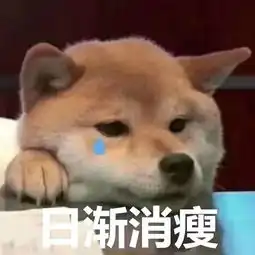 萧敬腾求雨表情包狗子
