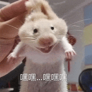 撩妹表情包小姐姐,那个吗