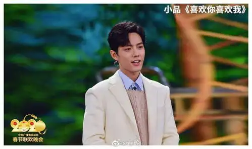 肖战谢娜上演姐弟恋春晚现场深情相拥