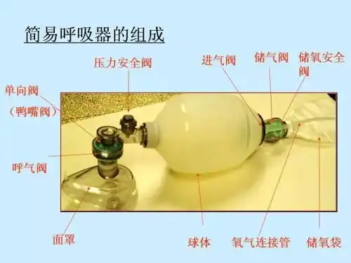 简易呼吸囊临床应用附视频及考核标准