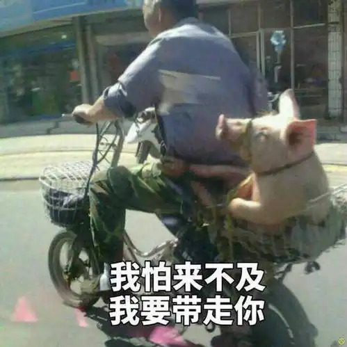 羊肉串表情包猪蹄