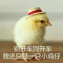 一只鸡的表情包如此浪漫