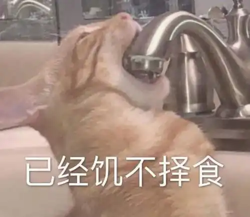 热门沙雕表情包第三期