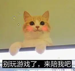 小天使系列表情包