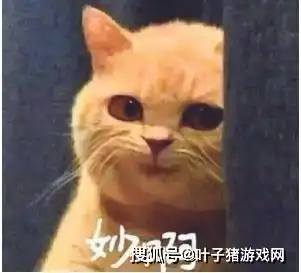 夏季赛荣誉评定投票开始,ig冠军阵容包场新规限制饭圈妹妹刷票