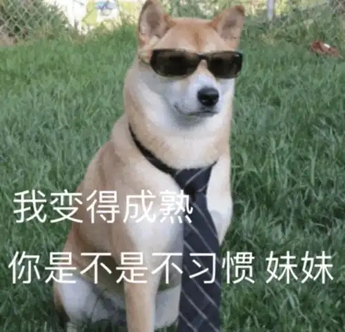 通过id看到了一些痛不欲生的设计师